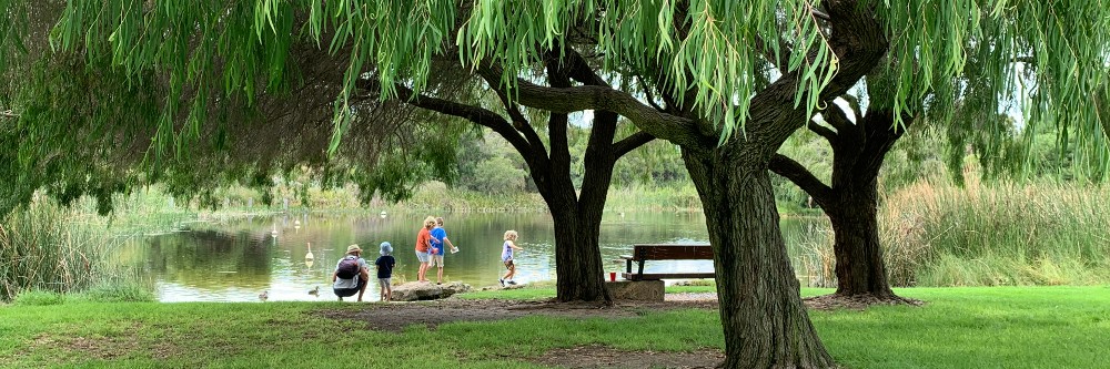 lush green tree canopy over family playing near water