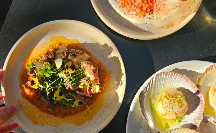 Sunlit plates of fresh seafood: scallops, octopus