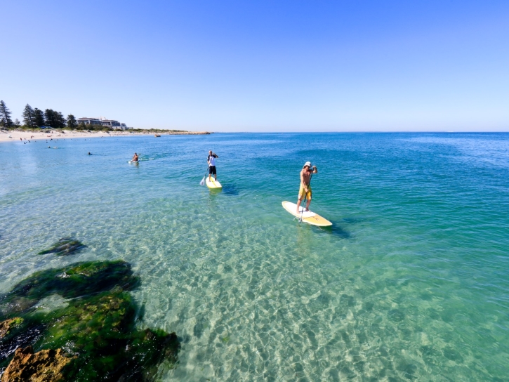 Three paddle boarders on a glassy ocean.