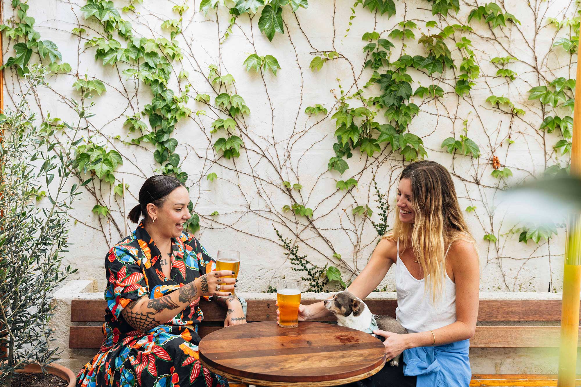 ladies sitting in a courtyard drinking beer with a dog