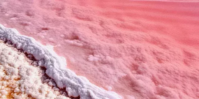 A pink wave washes up on a shore
