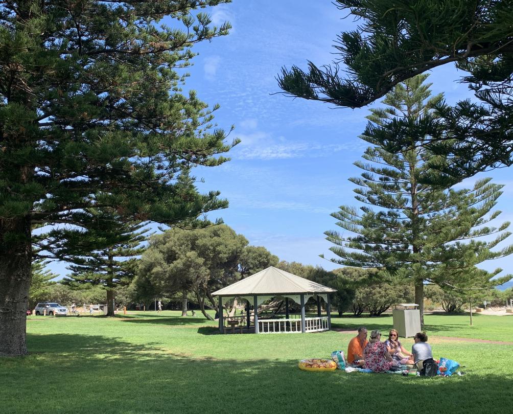 people having picnic on rug under norfolk pine trees on green grass and blue sky