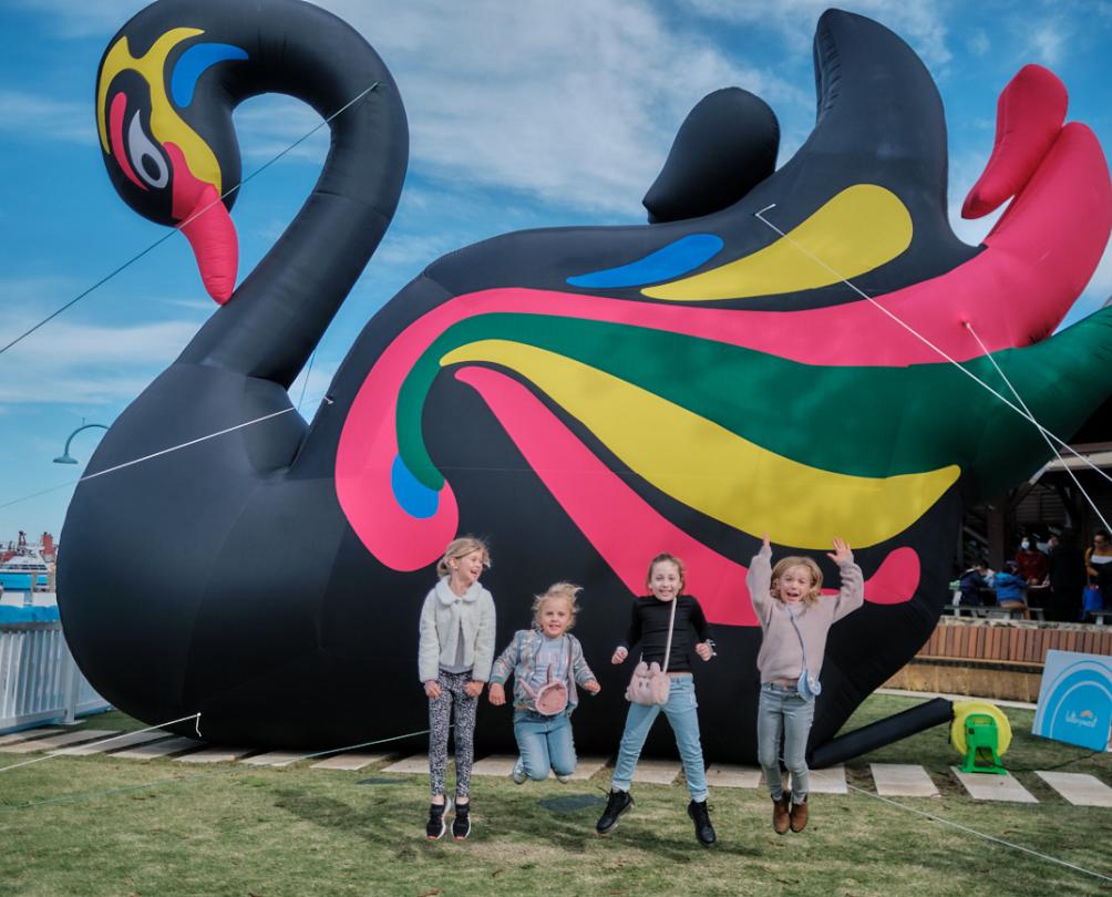 Black swan balloon