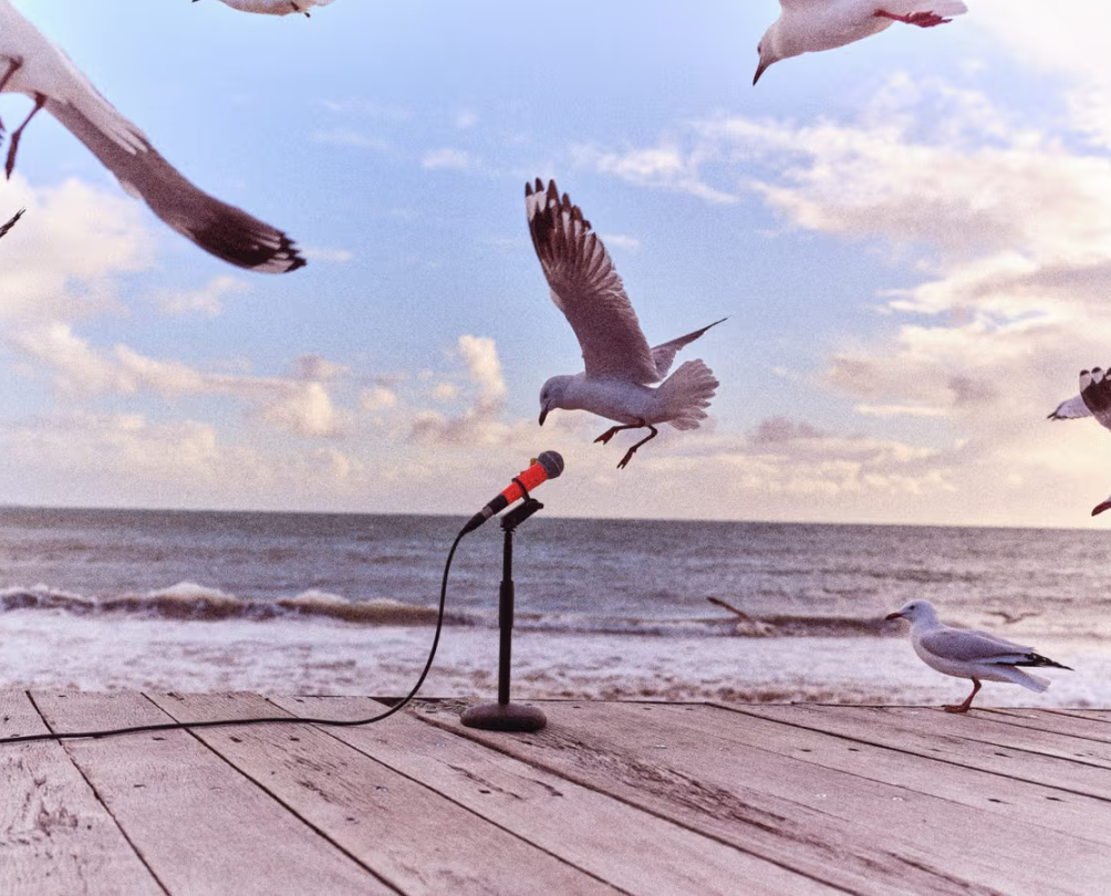 Seagulls flying over a microphone placed on a beach promenade