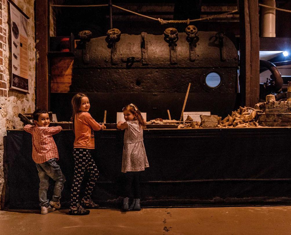 kids looking at a display in a museum 