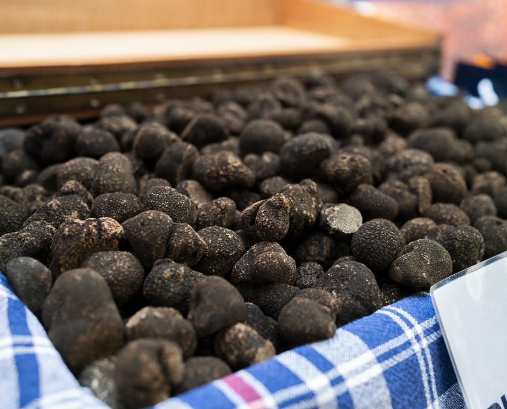 Truffles in a box with a tablecloth 