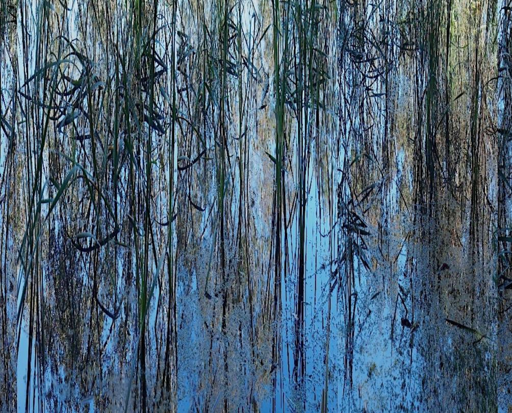 a blue and green textured image