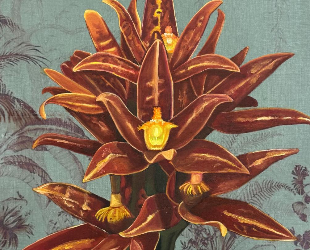 a red and yellow kangaroo paw, EarlyWork Gallery, Flourish Exhibit, Fremantle WA 