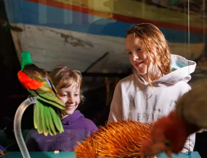 2 smiling children looking at the taxidermy display at WA Maritime Museum 