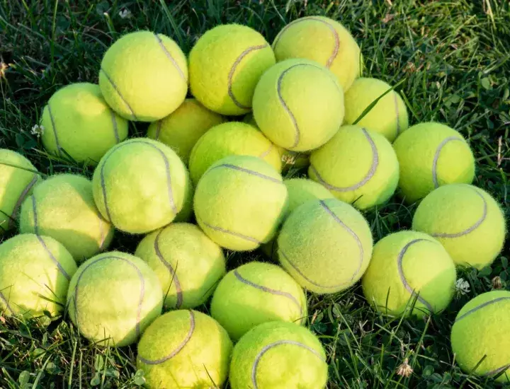 A pile of tennis balls on a lawn.