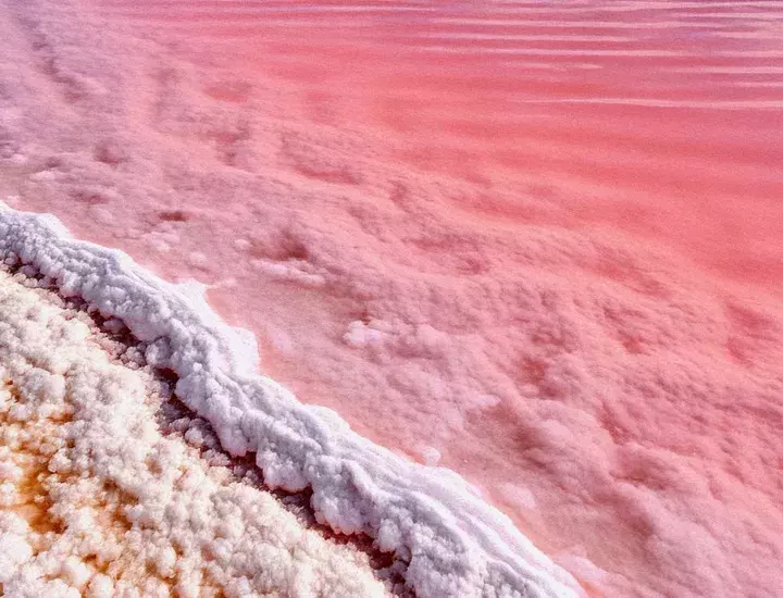 A pink wave washes up on a shore