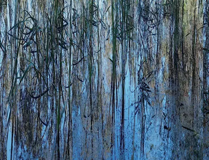 a blue and green textured image